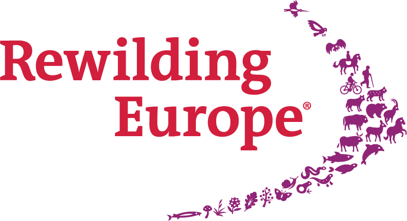 Rewilding Europe