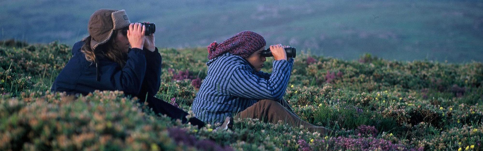 Research and Conservation