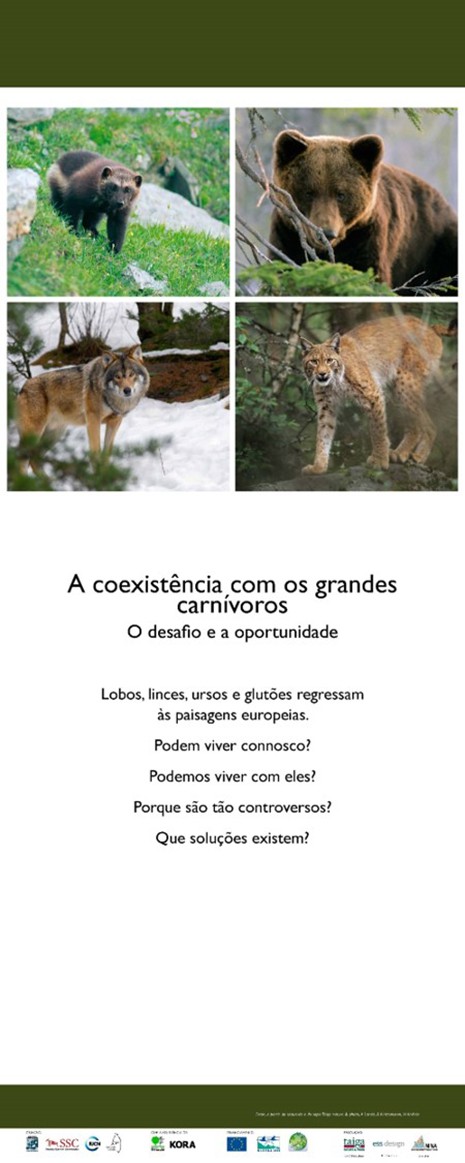 1. A coexistência com os grandes carnívoros