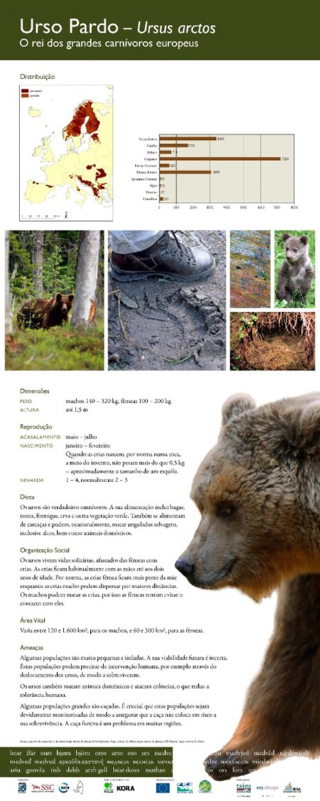 2. Urso-pardo