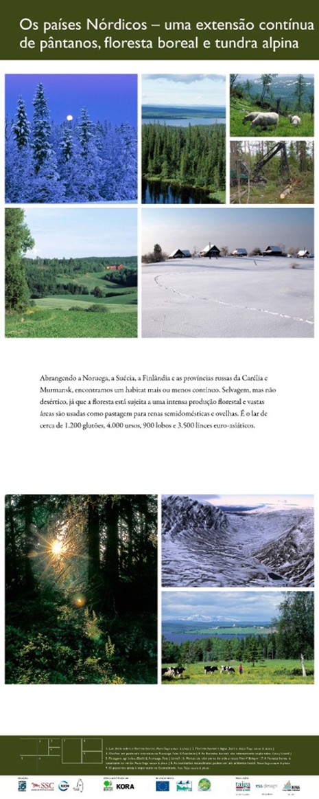 8. Os países Nórdicos - um extensão contínua de pântanos, floresta boreal e tundra alpina