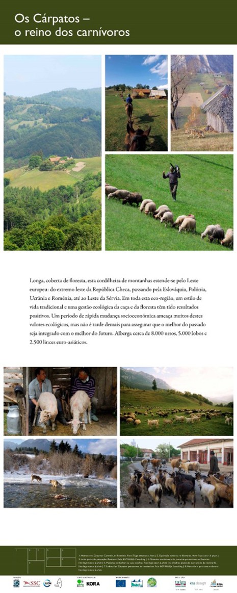 9. Os Cárpatos - o reino dos carnívoros