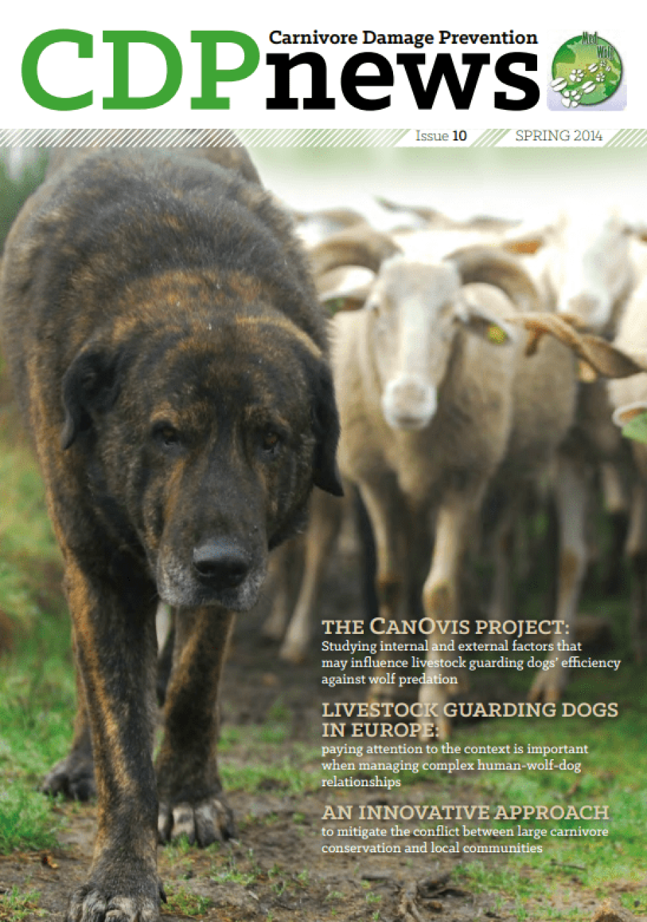 Capa Edição 10 CDPnews - Primavera 2014
