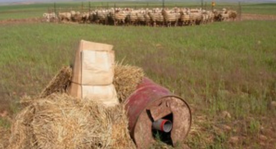 Curral com detonador a gás, luzes e cão de gado