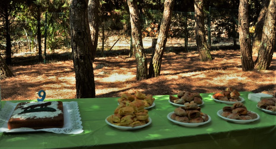 Festas de Aniversário
