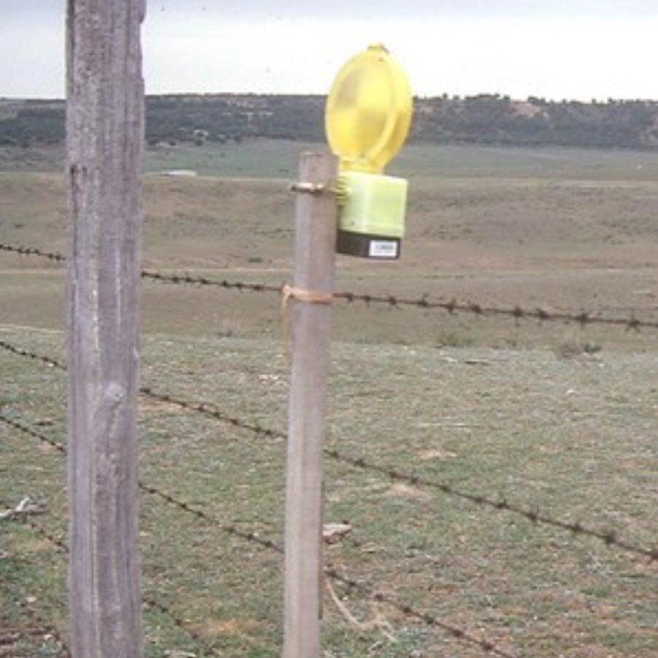 Luz intermitente