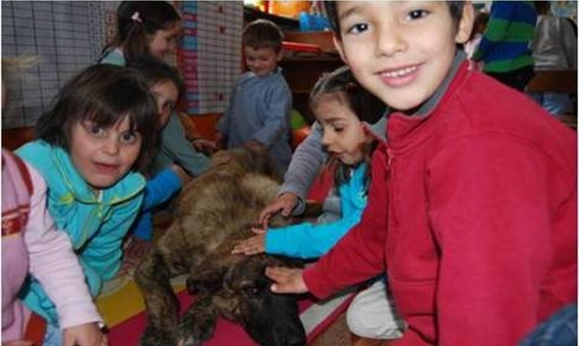 Os Cães de Gado também vão à escola!