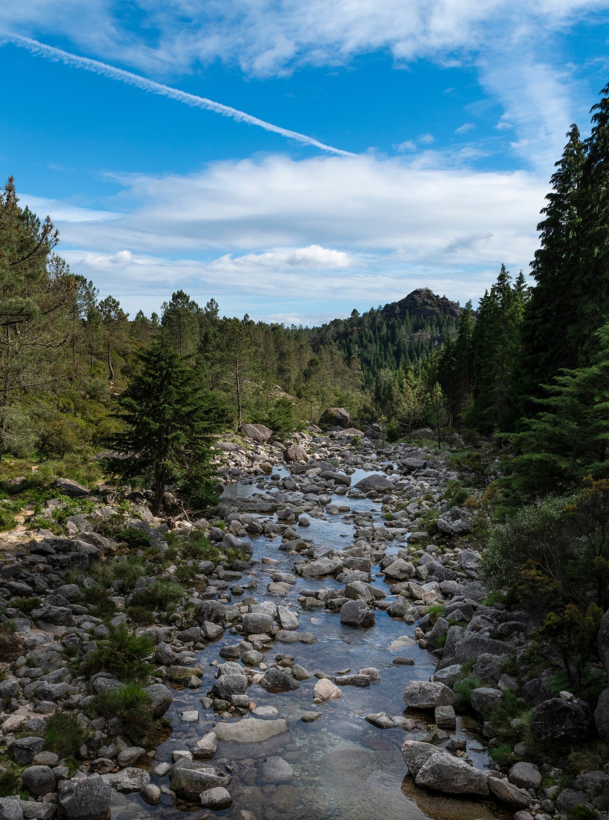 Oficina Participativa: Parque Nacional da Peneda-Gerês – Território de Homens e Lobos